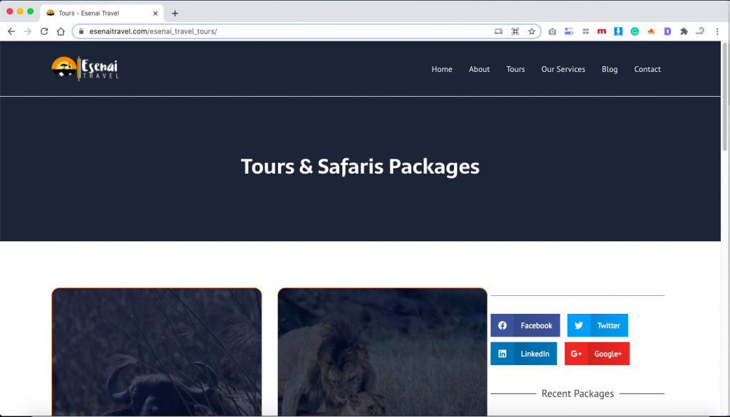 esenai Travel packages page website