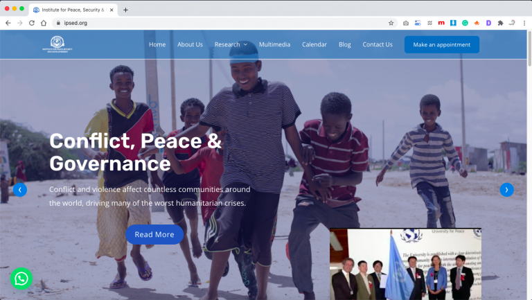 The Institute for Peace, Security & Development